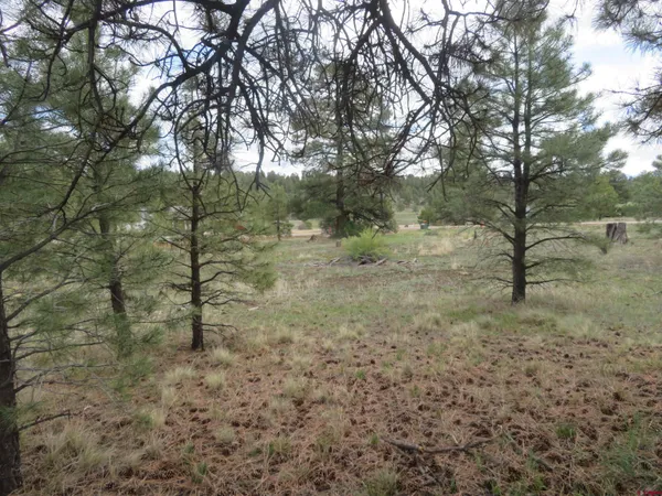 $99,900 | 97-81 Eldorado Street, Pagosa Springs, CO 81147