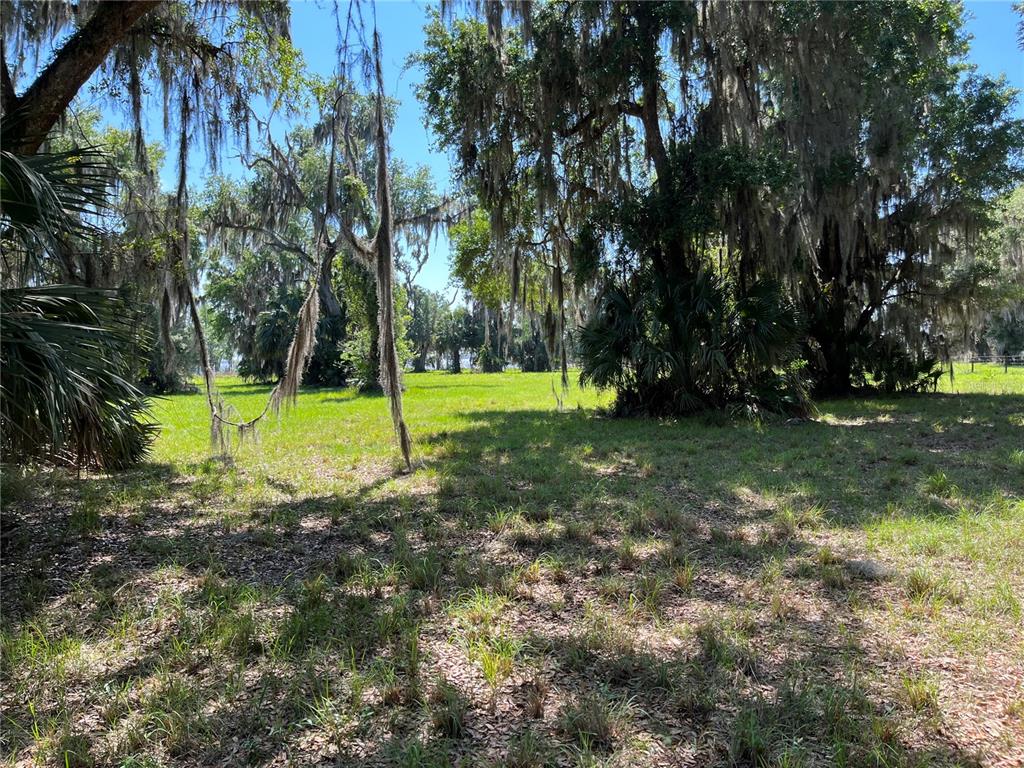 Andalusia Trail Bunnell, FL 32110 - Photo 11 of 13