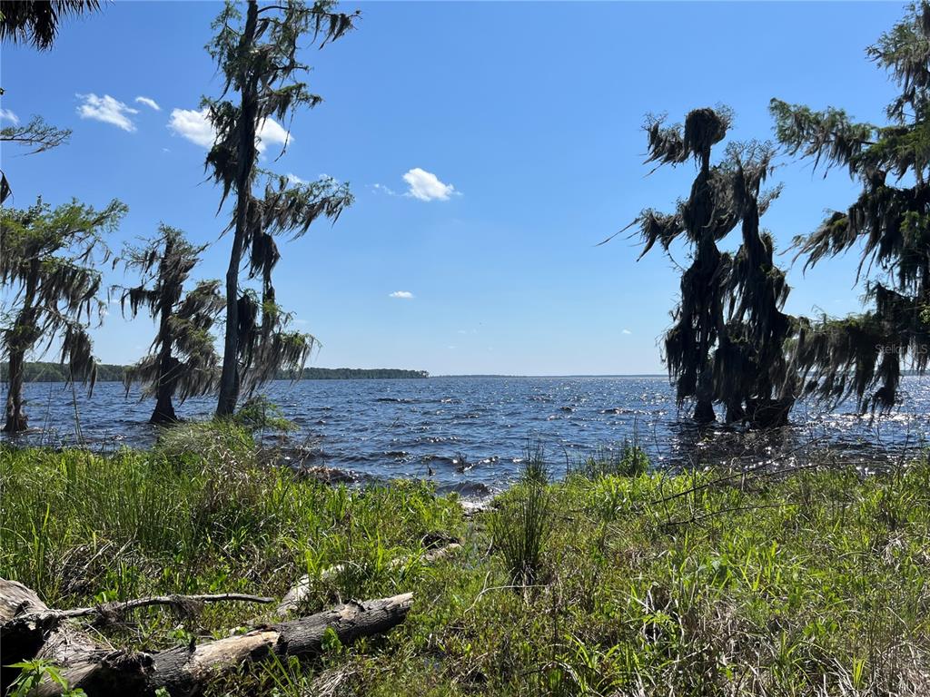 Andalusia Trail Bunnell, FL 32110 - Photo 12 of 13
