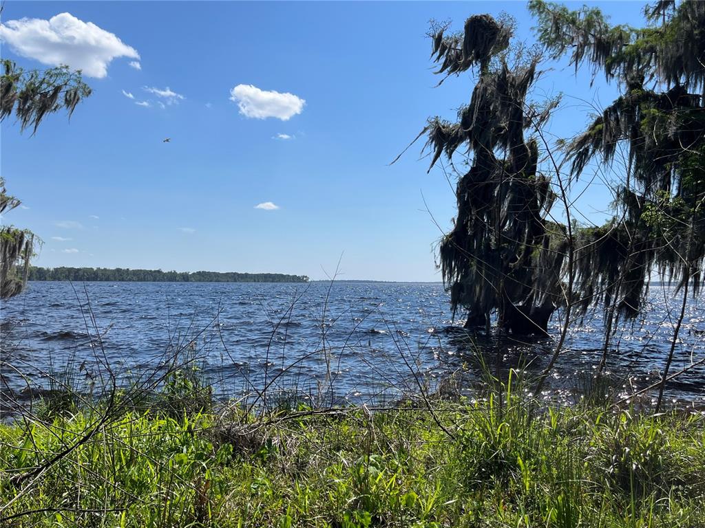 Andalusia Trail Bunnell, FL 32110 - Photo 13 of 13