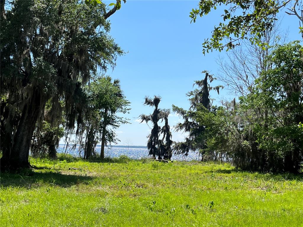 Andalusia Trail Bunnell, FL 32110 - Photo 6 of 13