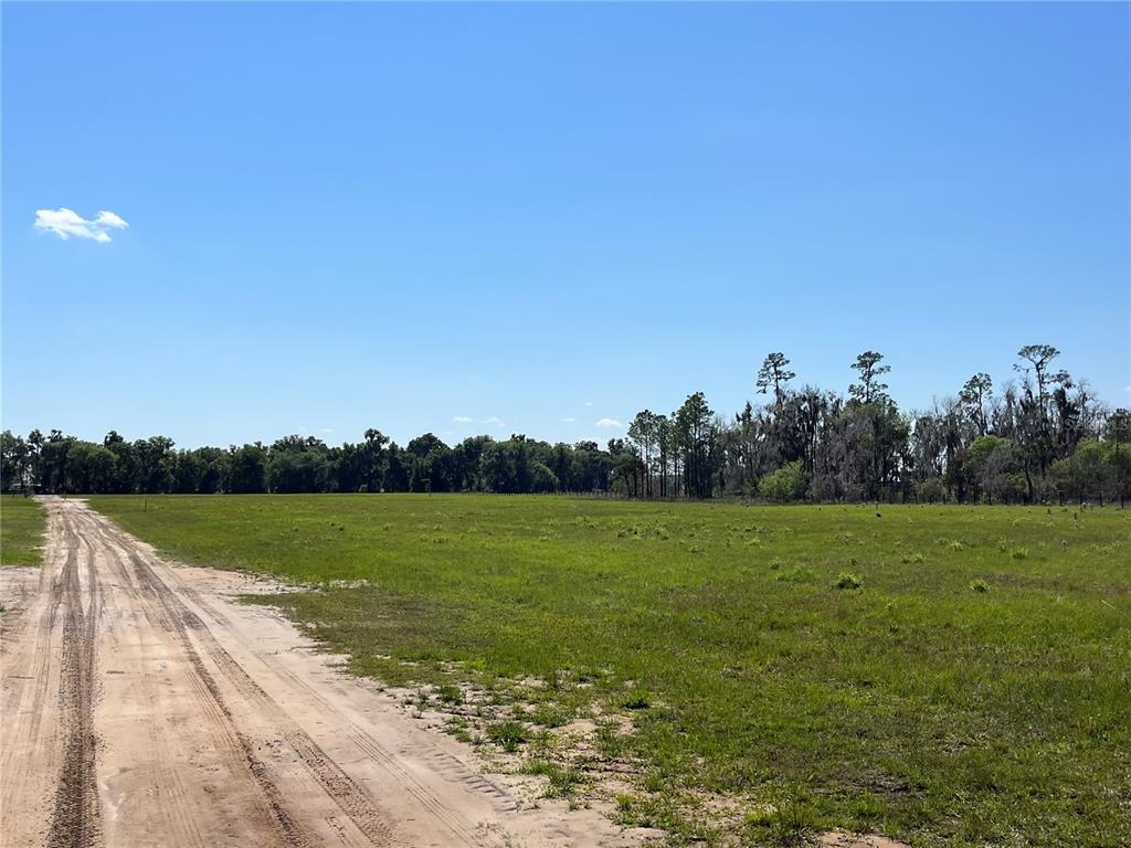 Andalusia Trail Bunnell, FL 32110 - Photo 7 of 13