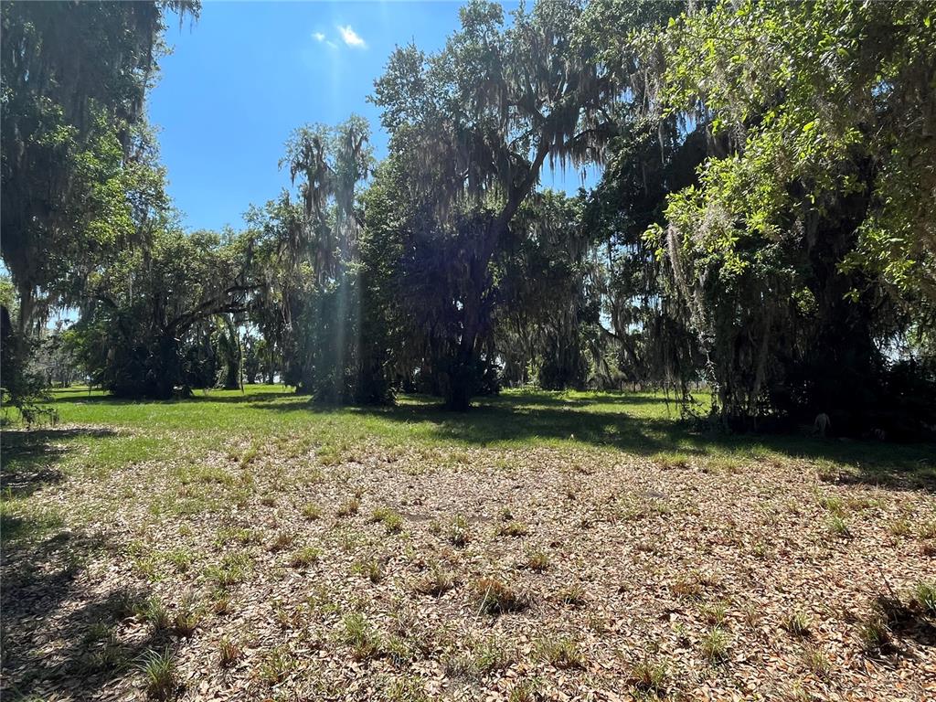 Andalusia Trail Bunnell, FL 32110 - Photo 10 of 13