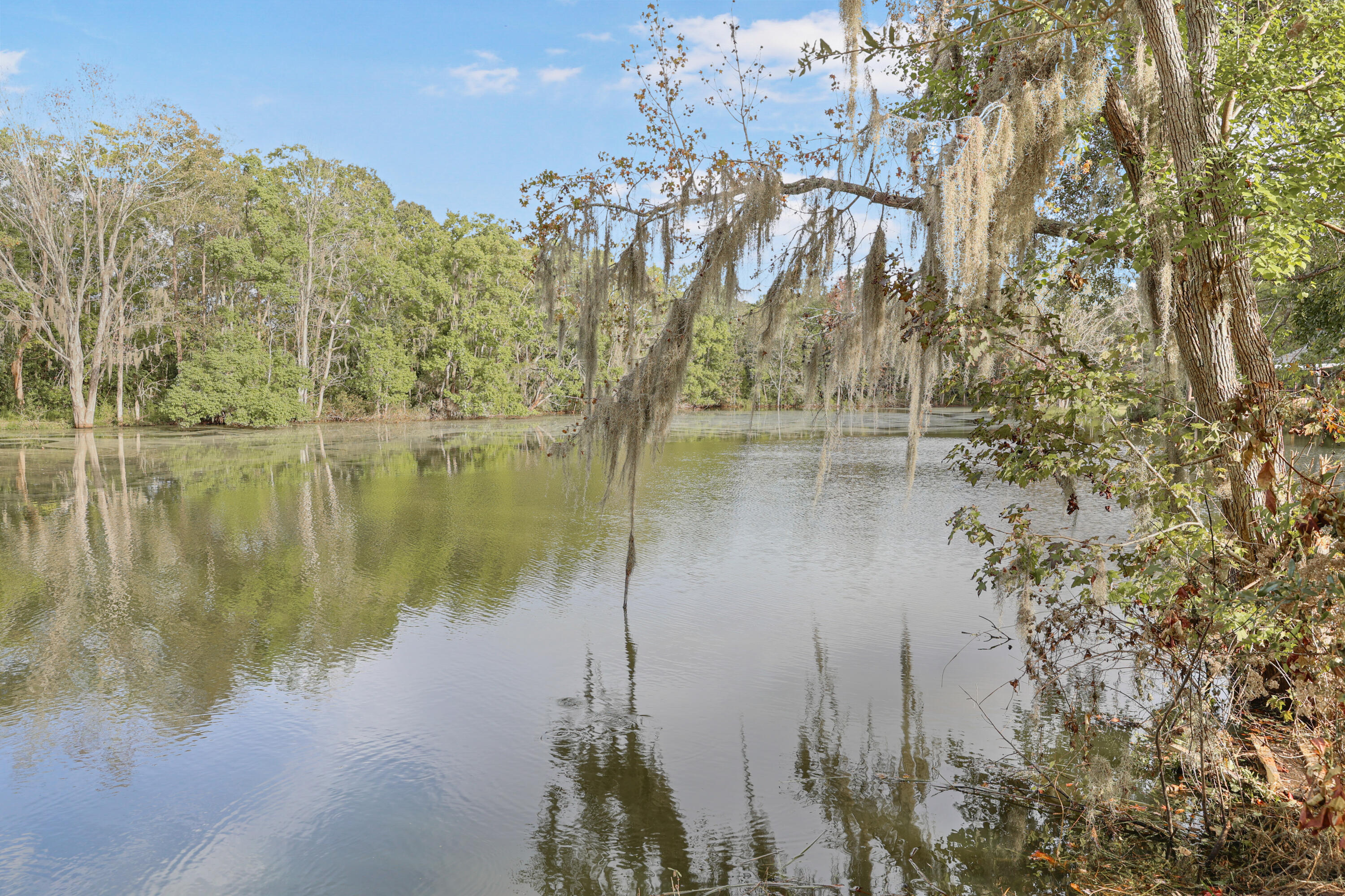 1254 Dr Evans Road Moncks Corner, SC 29461 - Photo 4 of 98 IMG_8104