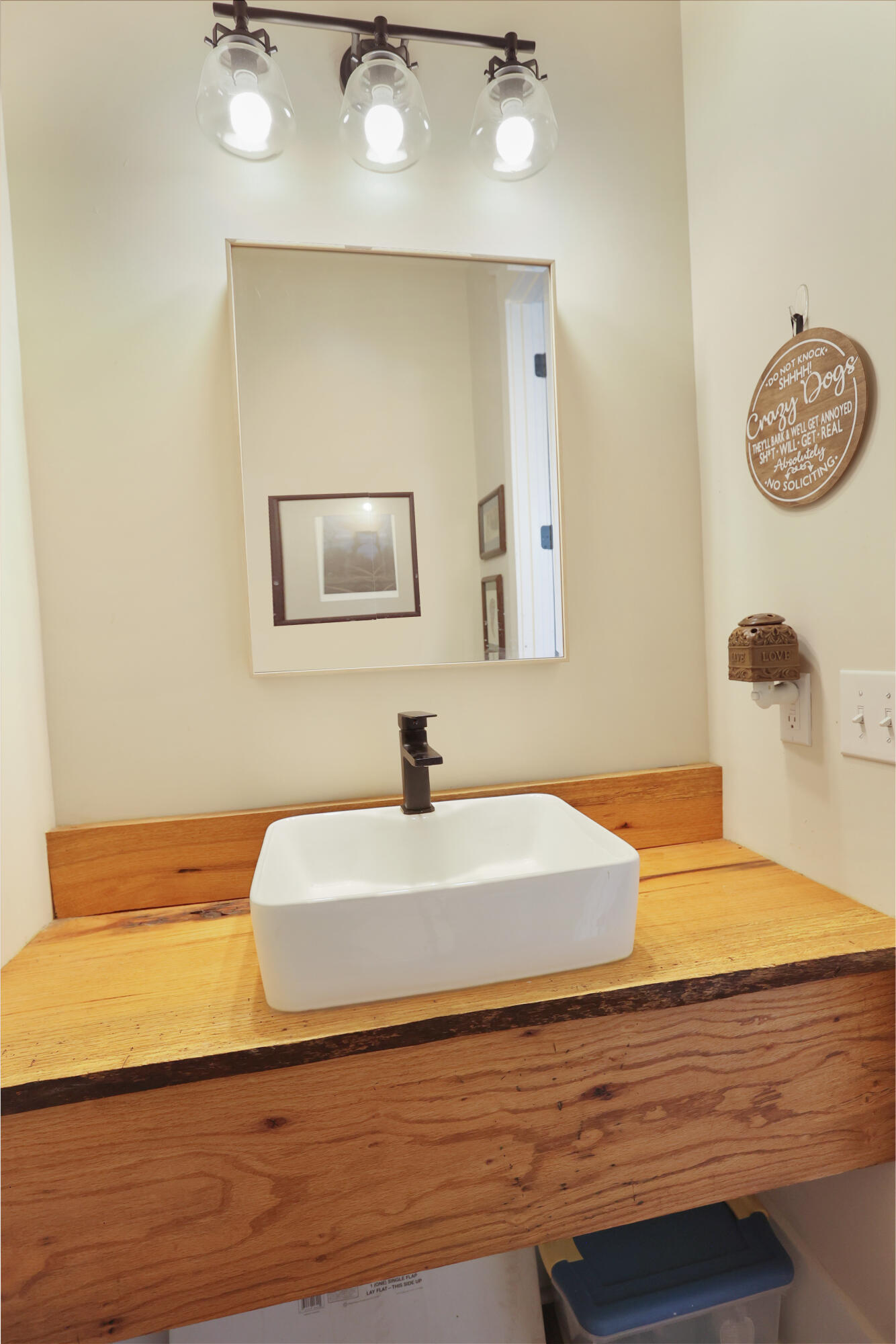 1254 Dr Evans Road Moncks Corner, SC 29461 - Photo 51 of 98 IMG_9105 copy