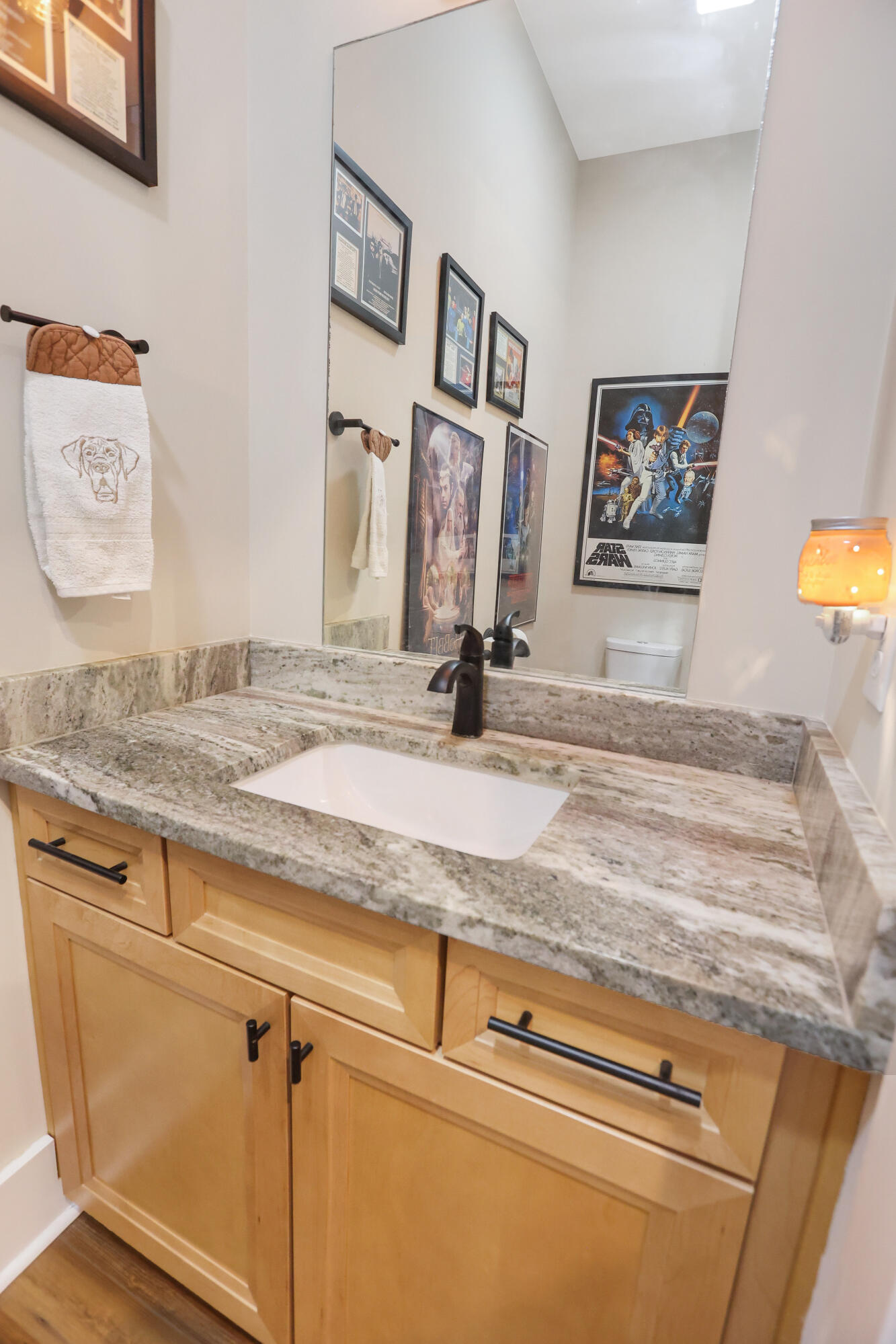 1254 Dr Evans Road Moncks Corner, SC 29461 - Photo 56 of 98 IMG_9120 copy