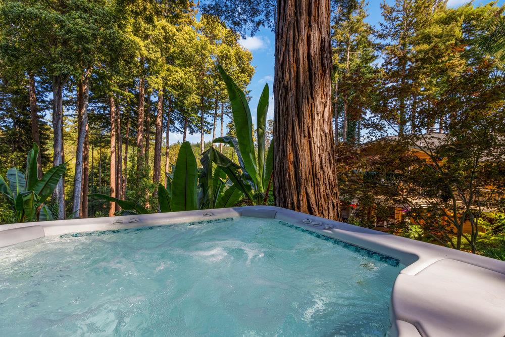 1845 Amaya Ridge Road Los Gatos, CA 95033 - Photo 55 of 100 Gallery Image 55