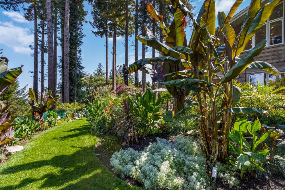 1845 Amaya Ridge Road Los Gatos, CA 95033 - Photo 75 of 100 Gallery Image 75