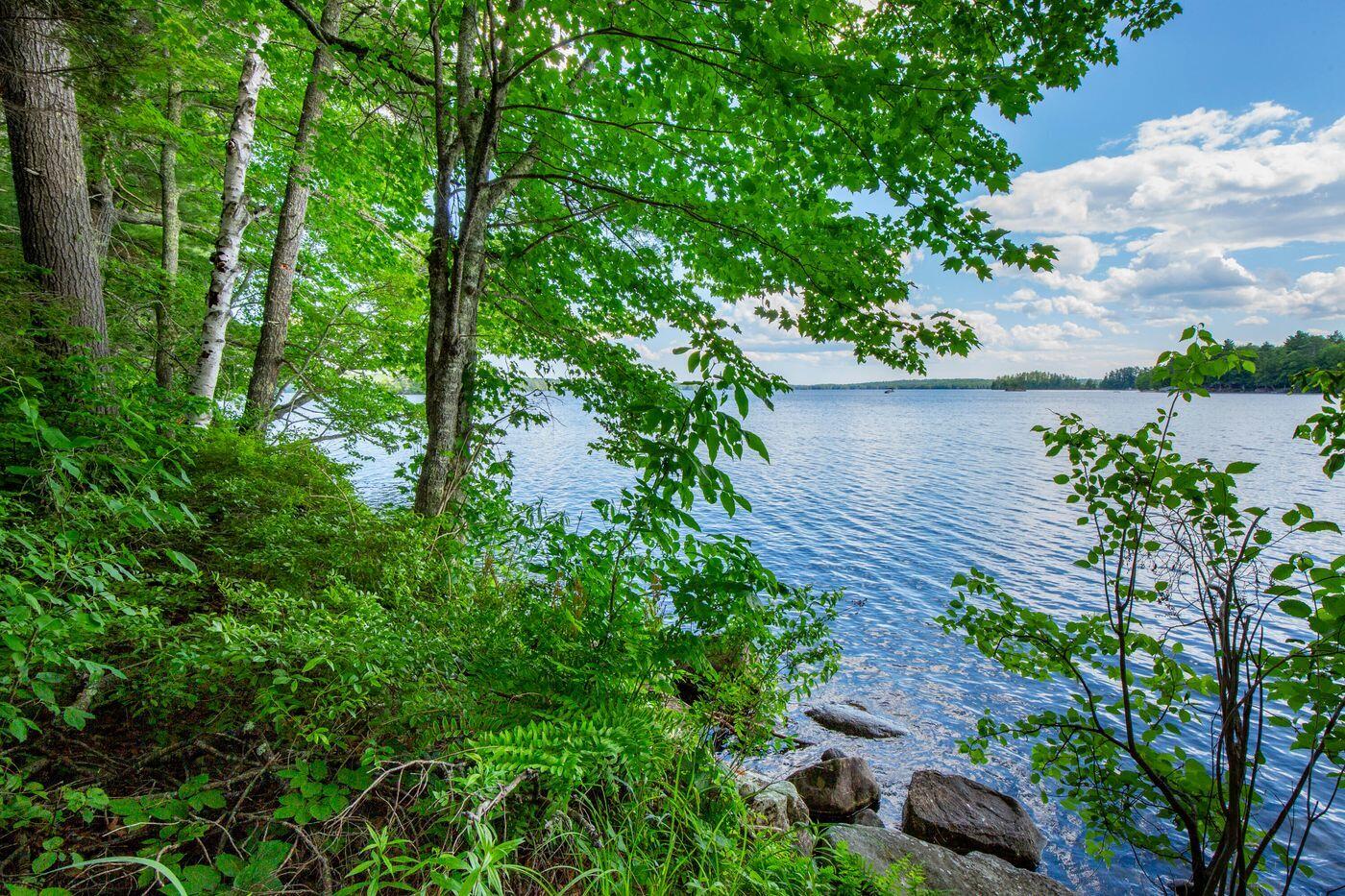 Lot 17-1 Provost Road Jefferson, ME 04348 - Photo 5 of 10 W5-ME3026-ME3047_4