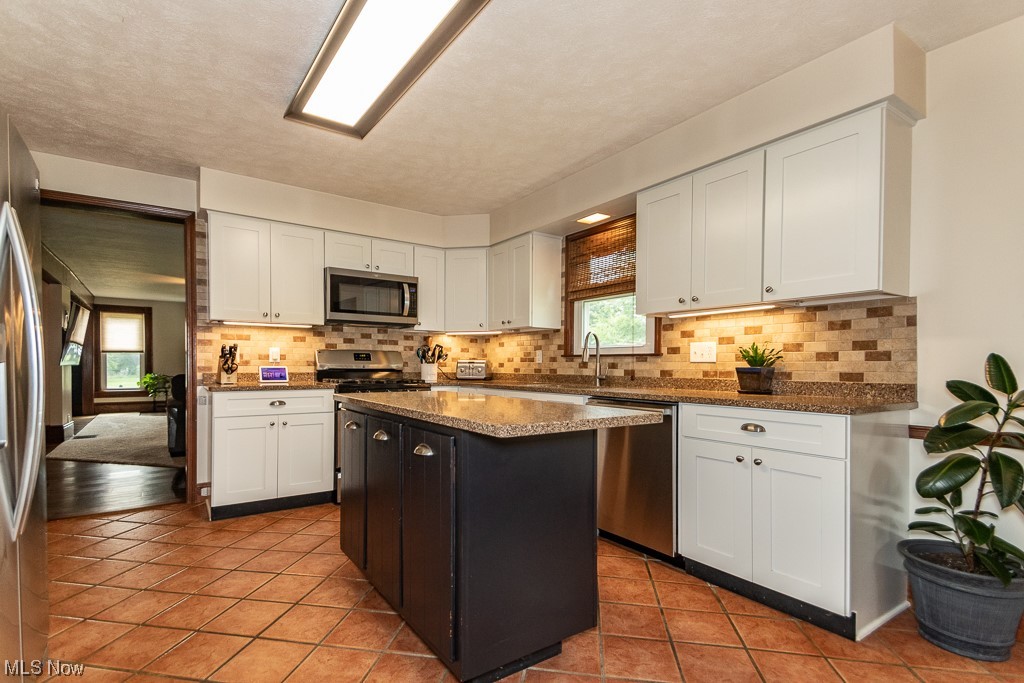 1540 Dock Road Madison, OH 44057 - Photo 5 of 34 Kitchen with Island