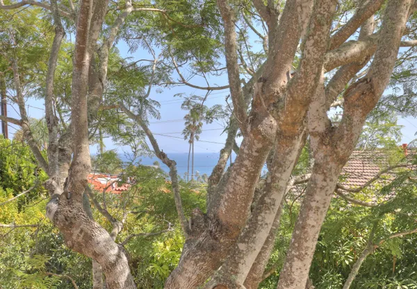$12,500 | 1622 Miramesa Drive, Santa Barbara, CA 93109