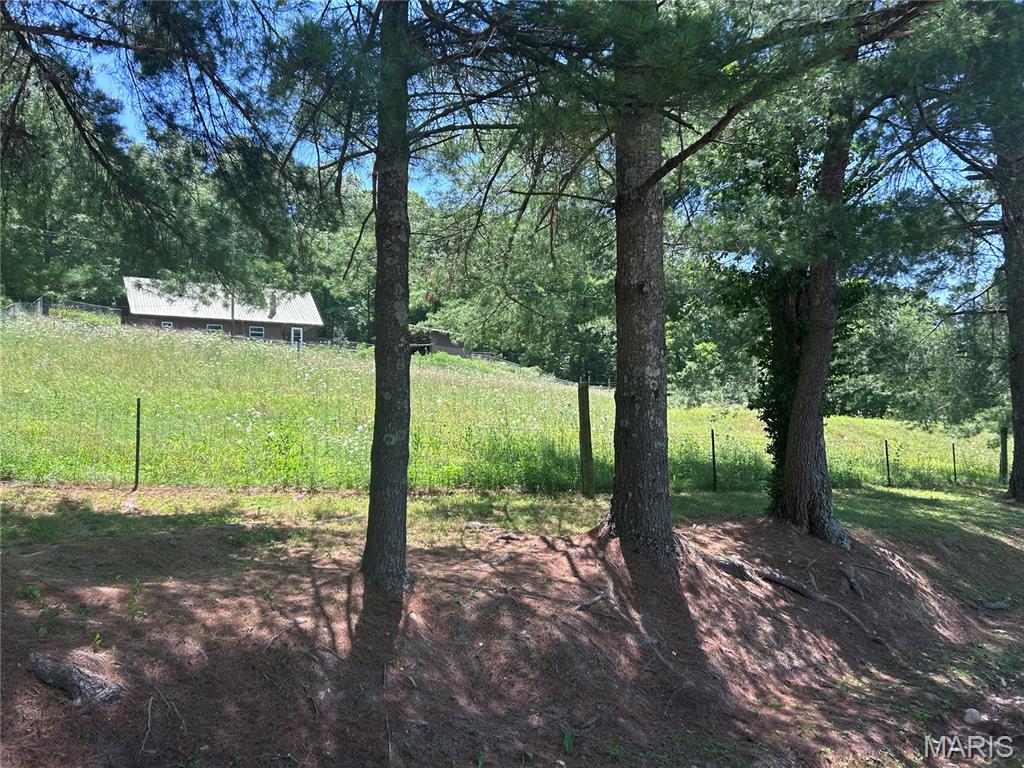 183 Graham Road Steelville, MO 65565 - Photo 6 of 82