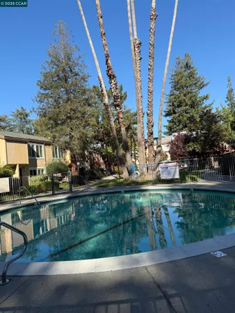 a view of a garden with a tree