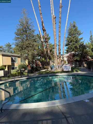 a view of a garden with a tree