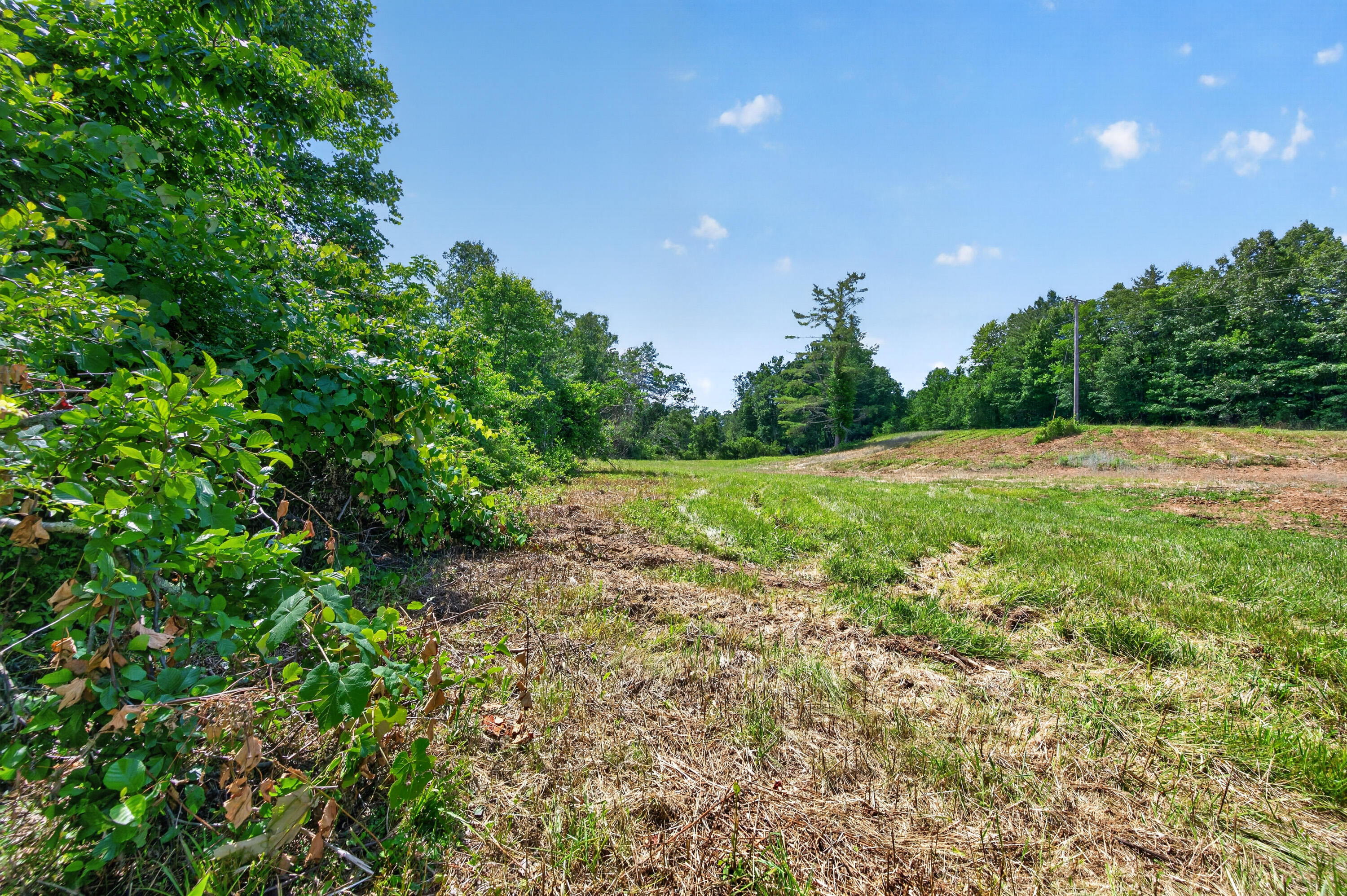 6196 Chances Creek Road Fancy Gap, VA 24328 - Photo 52 of 78 53