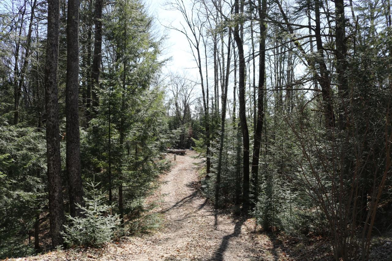 4975 Golf Course Drive Mercer, WI 54547 - Photo 10 of 19 Gallery Image 10