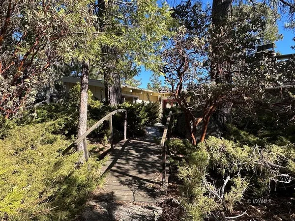 a view of a large yard with lots of trees
