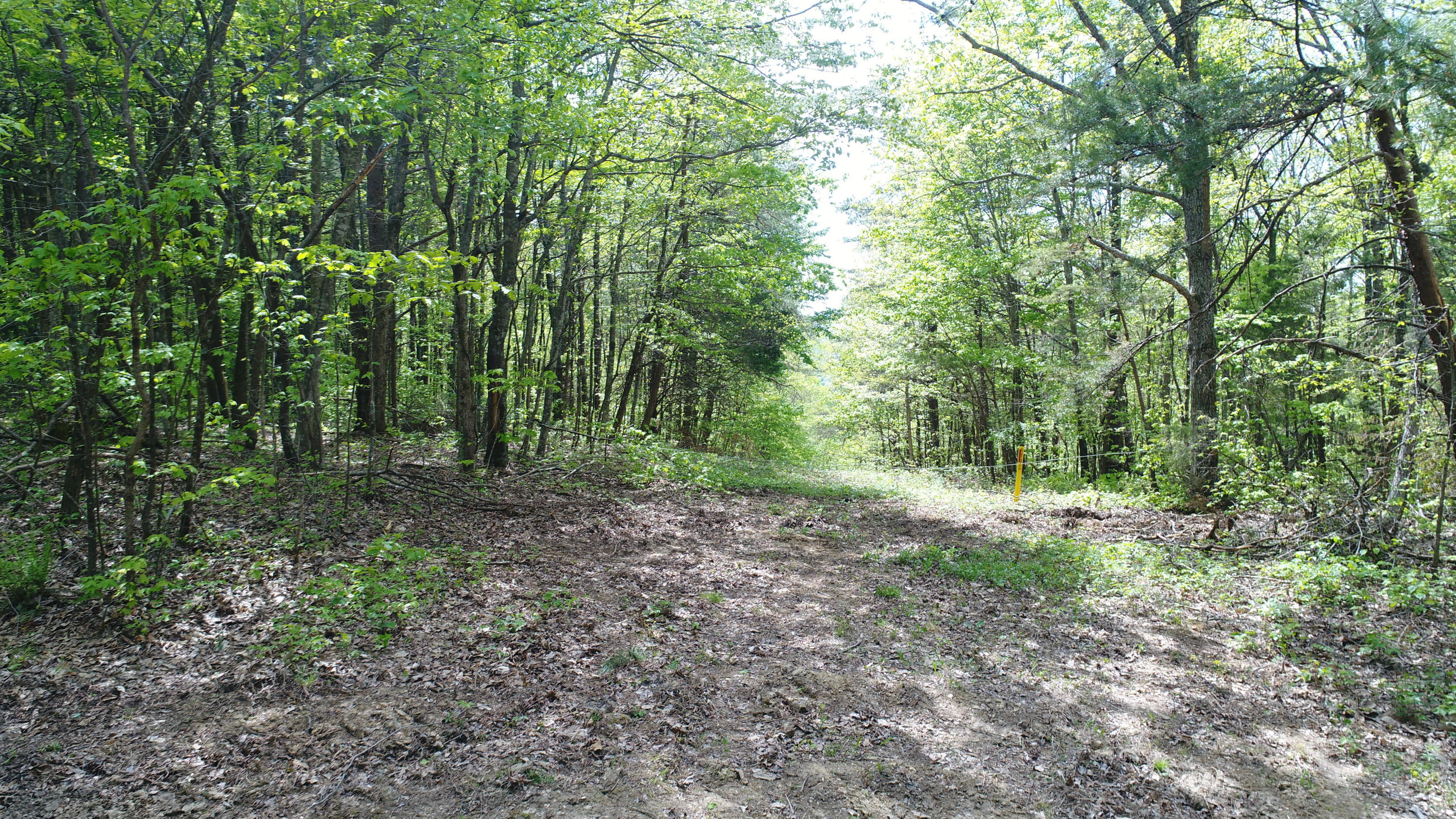 1234 Pine Ridge Road Somerset, KY 42501 - Photo 17 of 34 DJI_0325