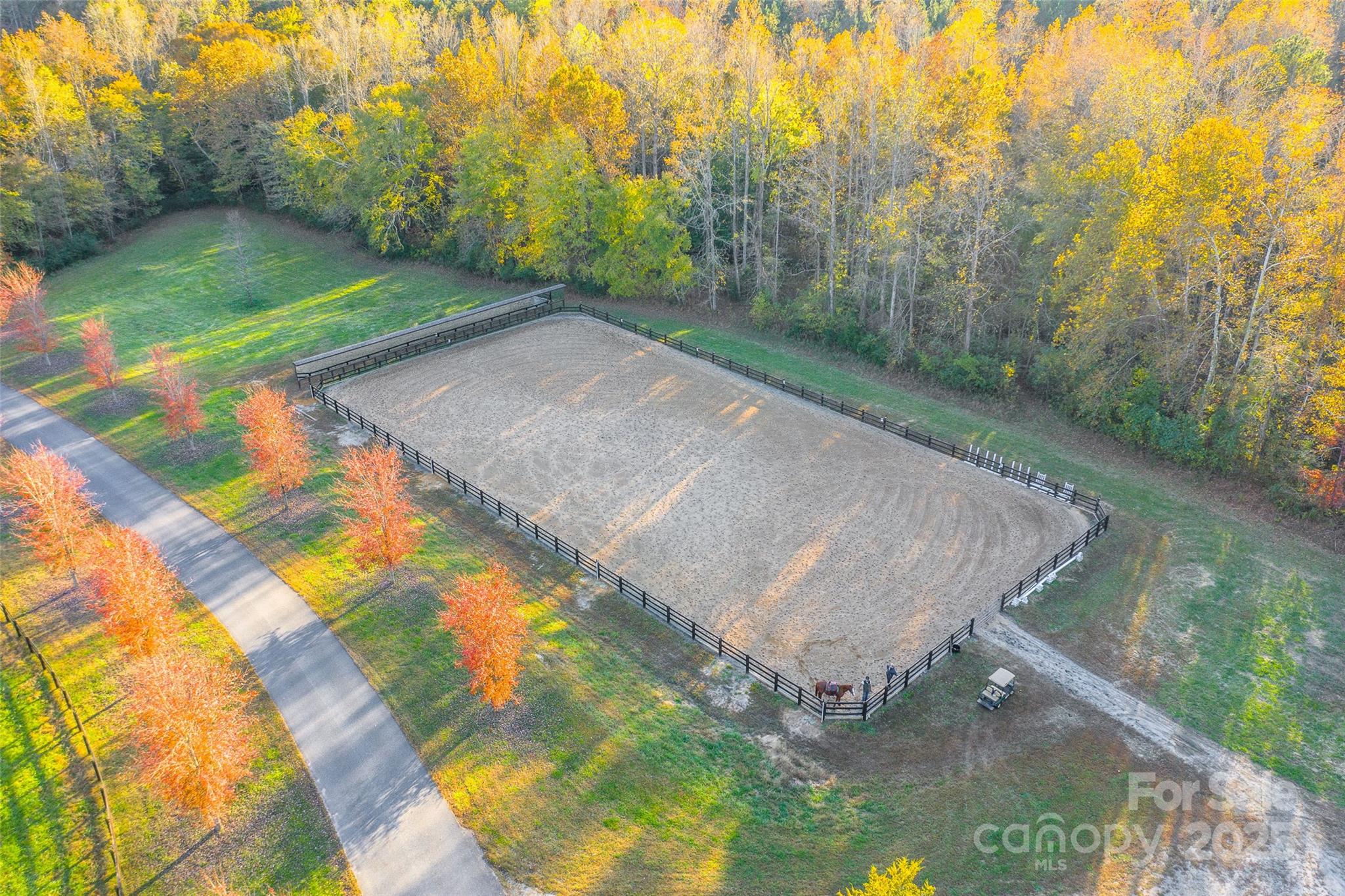 Lot 20 Mapleton Lane Tryon, NC 28782 - Photo 22 of 32 a view of a backyard