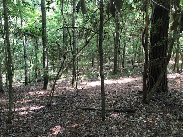 6-ac Lester Bell Road Brantley, AL 36009 - Photo 7 of 14 Gallery Image 7
