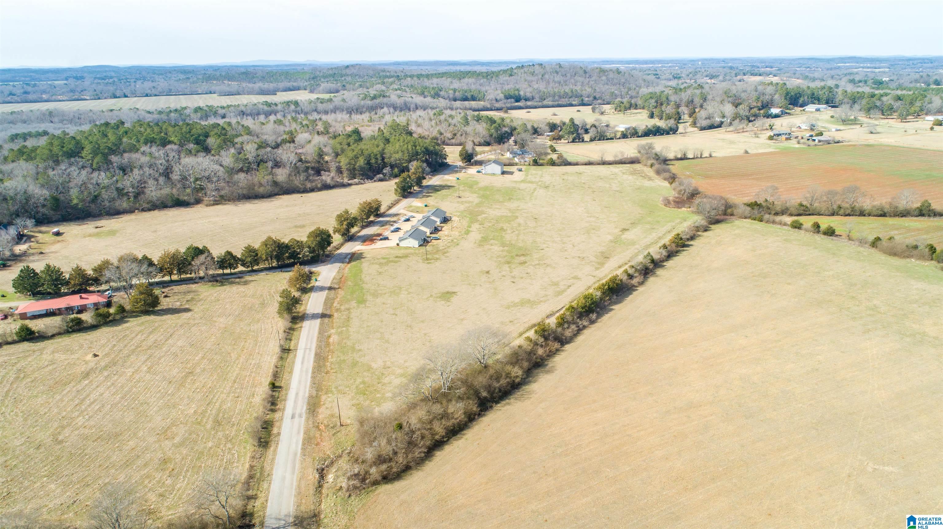 0 Oak Grove Road Munford, AL 36268 - Photo 8 of 9