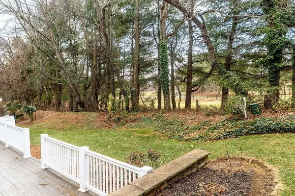 a view of a yard with large trees