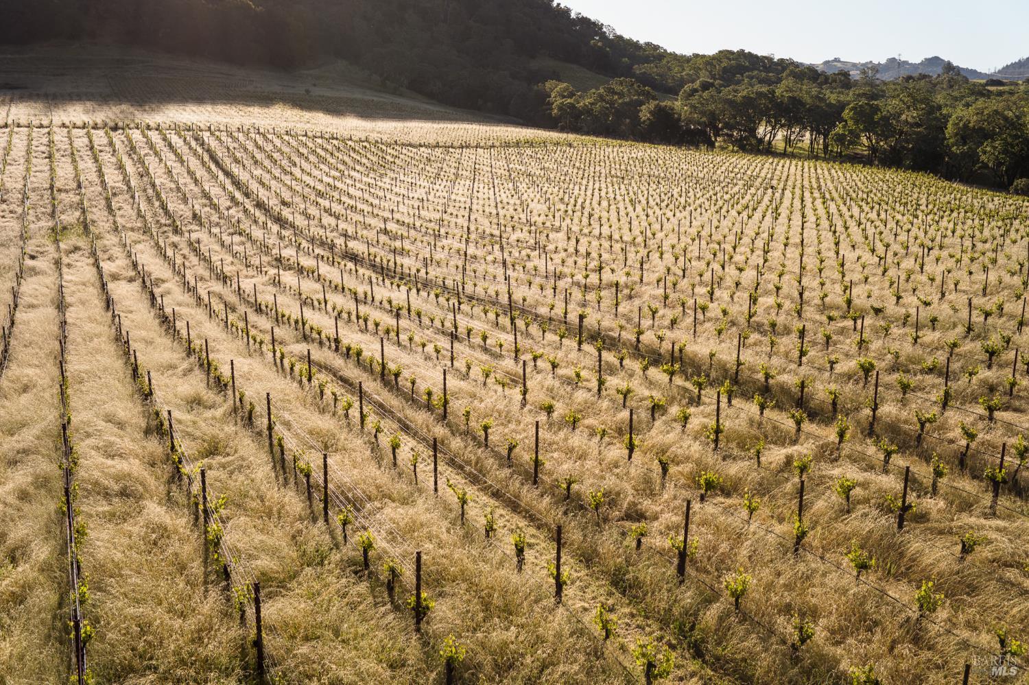 13414 Chalk Hill Road Healdsburg, CA 95448 - Photo 94 of 99