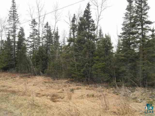 Xxx Virginia Ely Road Babbitt, MN 55706 - Photo 3 of 5 Gallery Image 3