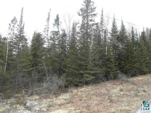 Xxx Virginia Ely Road Babbitt, MN 55706 - Photo 5 of 5 Gallery Image 5