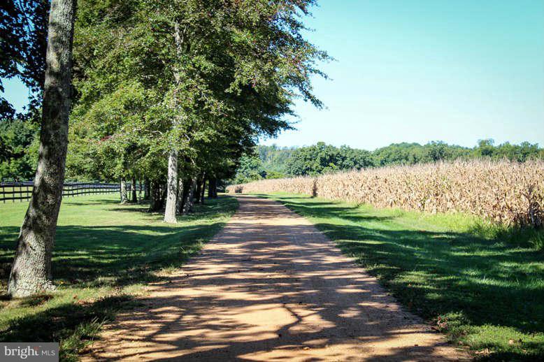 17705 St Jeromes Neck Road Dameron, MD 20628 - Photo 24 of 30 pasture