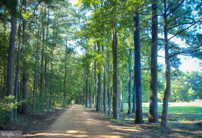 17705 St Jeromes Neck Road Dameron, MD 20628 - Photo 25 of 30 driveway