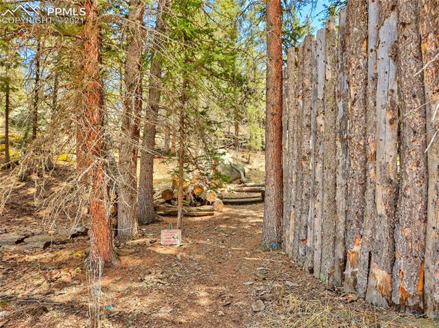 2130 Pathfinder Road Florissant, CO 80816 - Photo 7 of 32 Gallery Image 7