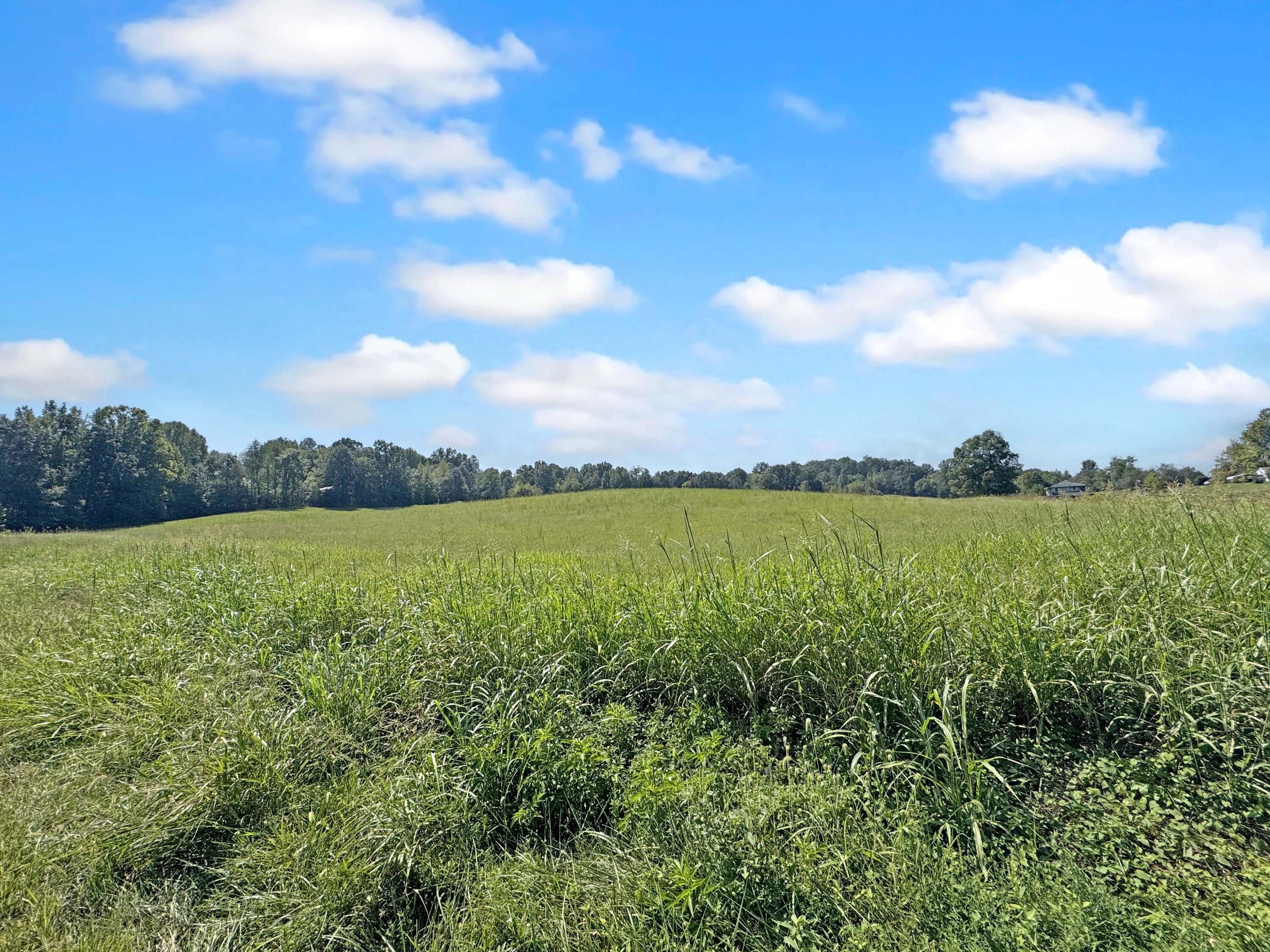 0 Boitnott Ford Road Princeton, KY 42445 - Photo 6 of 12 IMG_4022