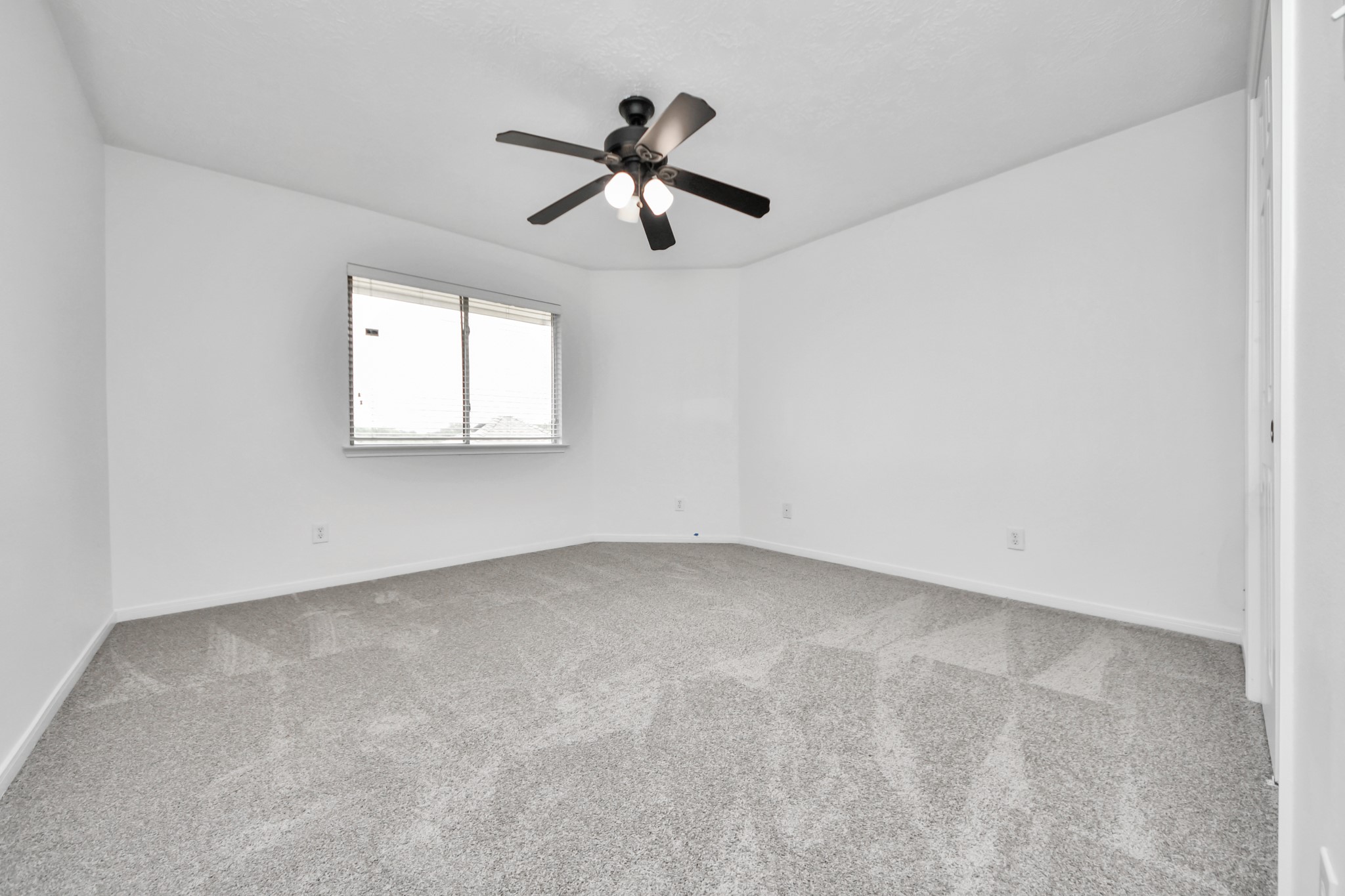 4423 Tree Line Drive Pasadena, TX 77505 - Photo 37 of 50