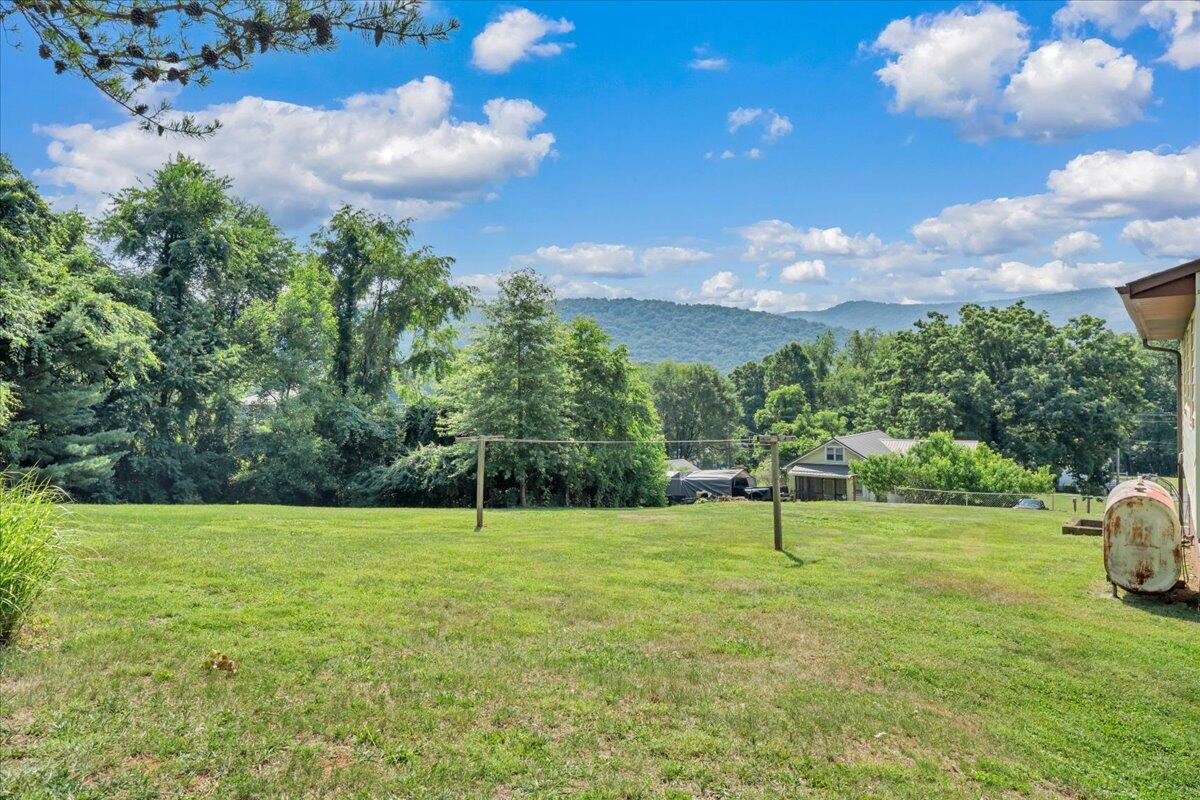 201 Long Avenue Covington, VA 24426 - Photo 30 of 43 a view of a park with large trees