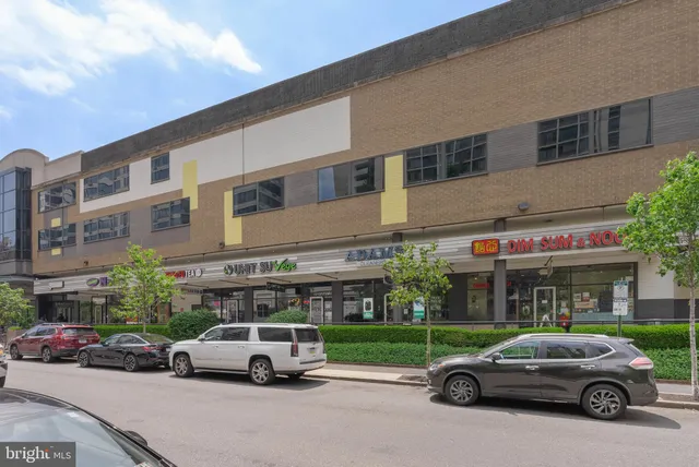 a view of a park that has large trees