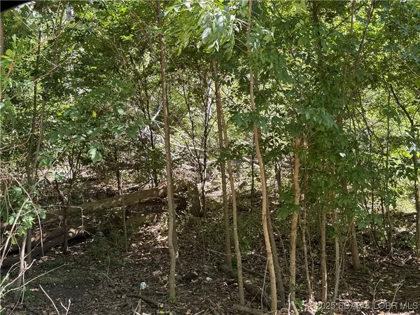 $22,500 | Tbd Lot #4 Tbd Lane, Camdenton, MO 65020