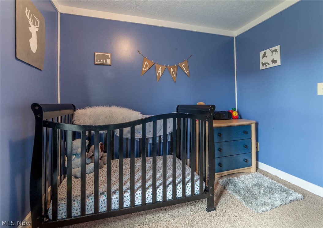 218 Haigh Road Oberlin, OH 44074 - Photo 21 of 35