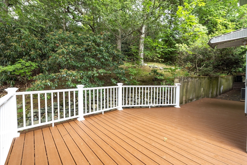 22 Bracebridge Road Newton, MA 02459 - Photo 34 of 39