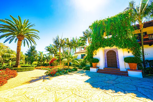 a view of a yard with plants and trees