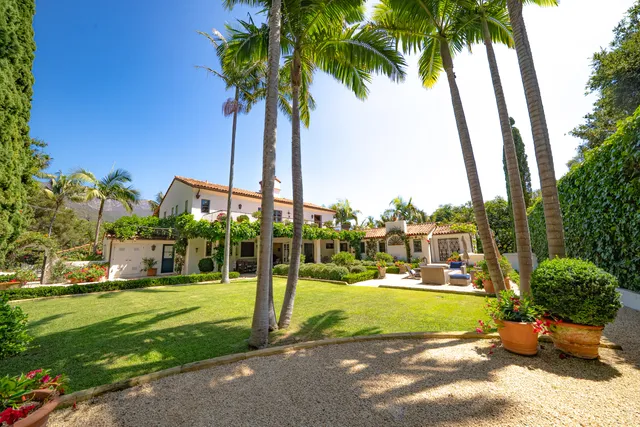 a view of a park with palm trees