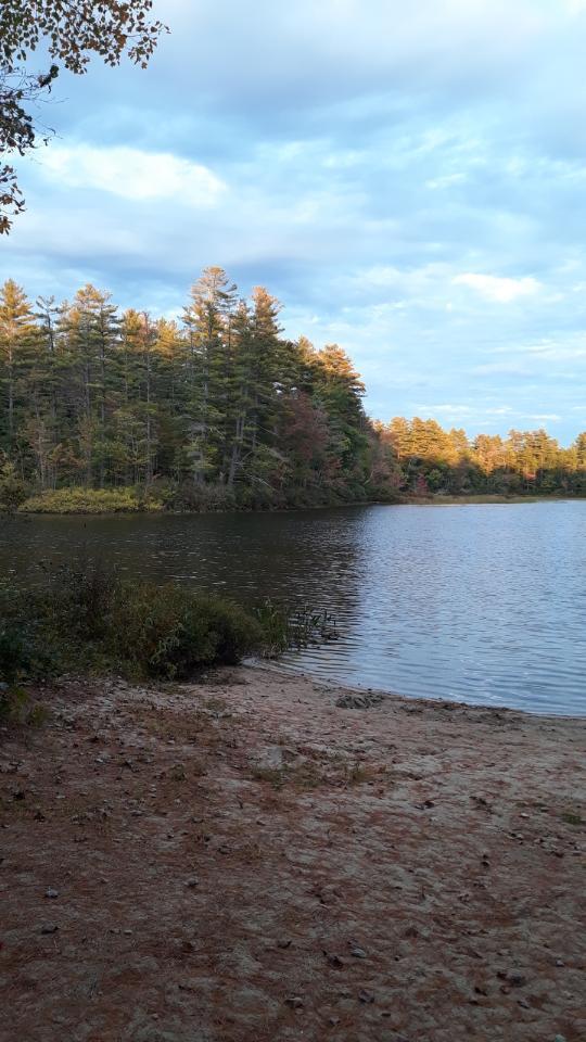 9 Sunderland Road Poland, ME 04274 - Photo 71 of 71 78578