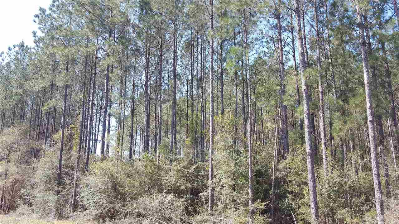 A Southridge Road Milton, FL 32570 - Photo 2 of 4 Gallery Image 2