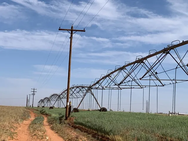 $518,500 | 0 Tiger, Ropesville, TX 79358