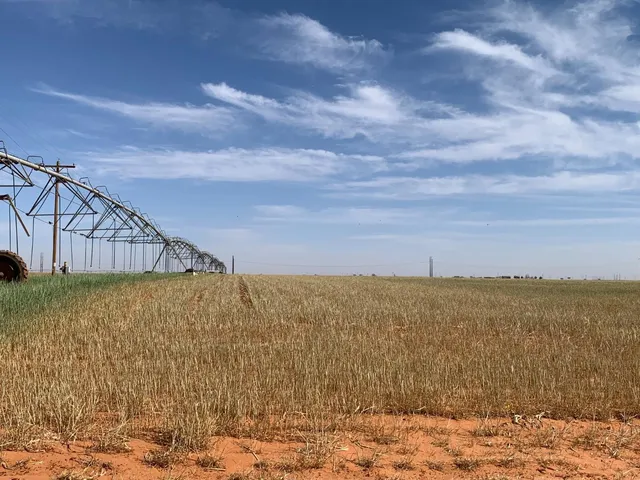 $518,500 | 0 Tiger, Ropesville, TX 79358