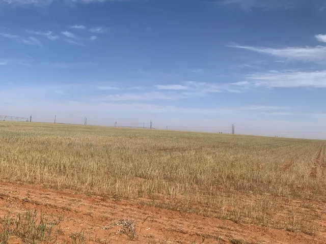 $518,500 | 0 Tiger, Ropesville, TX 79358