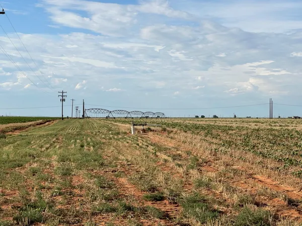 $518,500 | 0 Tiger, Ropesville, TX 79358