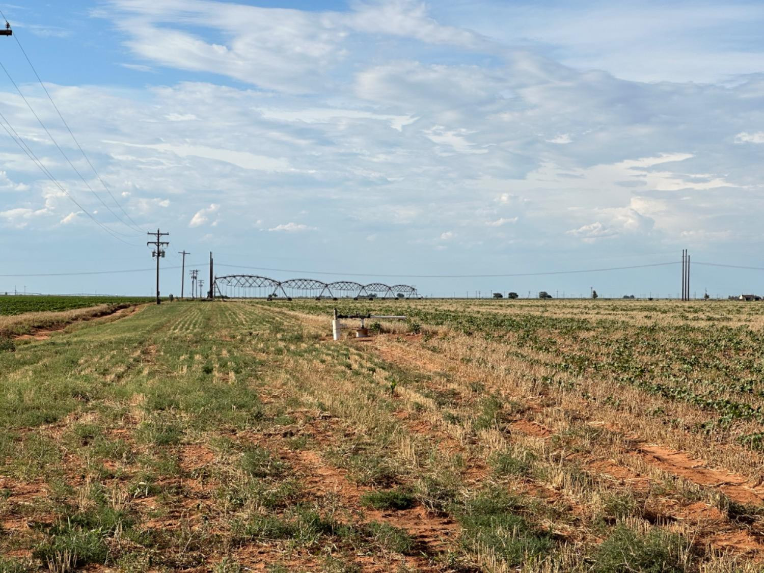 0 Tiger Ropesville, TX 79358 - Photo 4 of 7 Photo 4