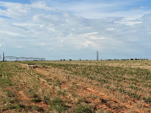 $518,500 | 0 Tiger, Ropesville, TX 79358