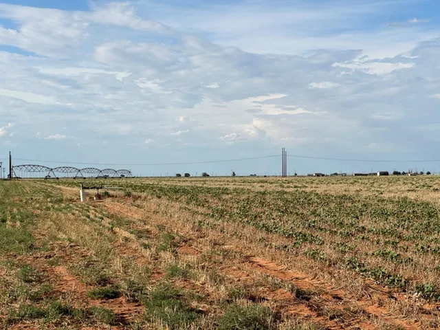 $518,500 | 0 Tiger, Ropesville, TX 79358